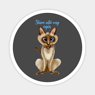 Stare into my eyes - Siamese Cat Magnet